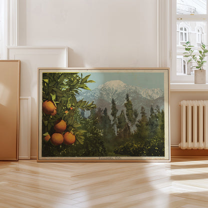 A California Anomaly, Snow and Oranges