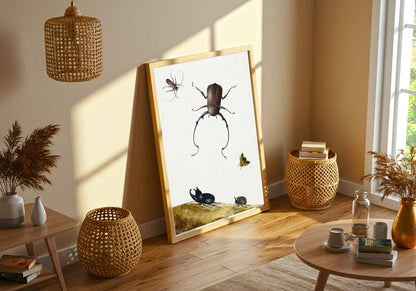 Beetles and Stink Bug