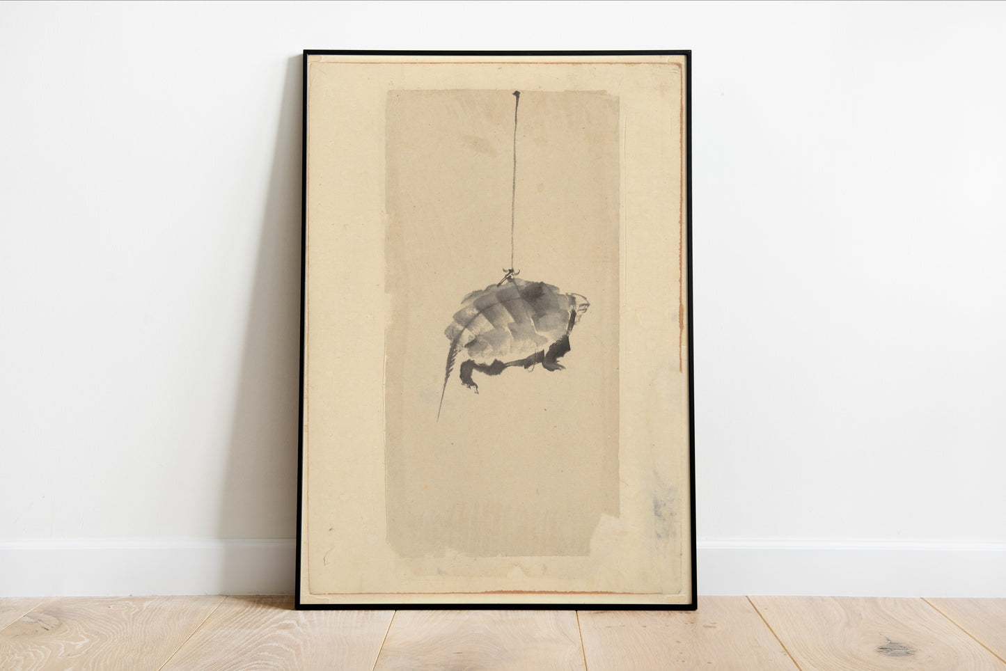 Tortoise Suspended by String