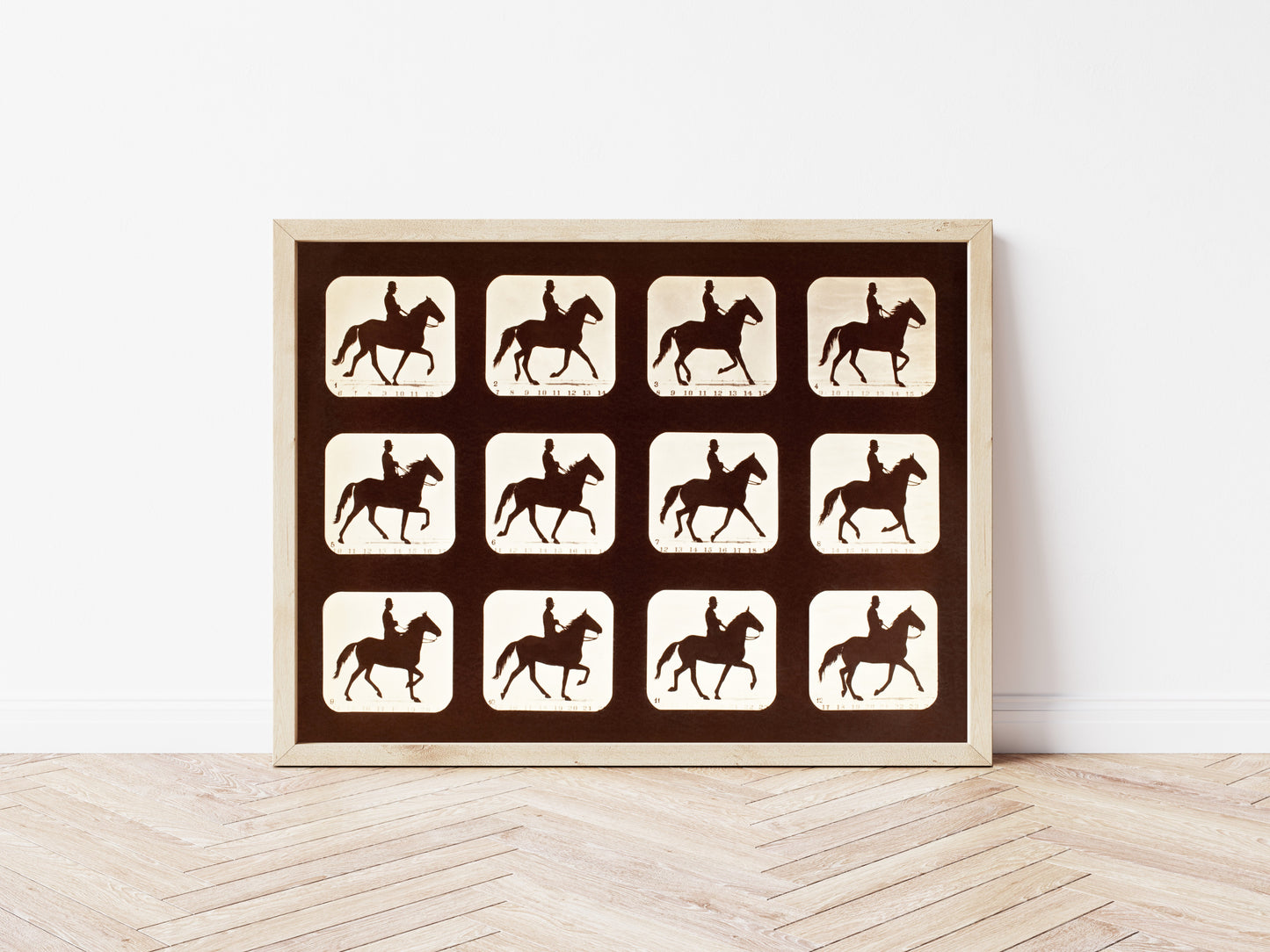 The Amble: One Stride in Eleven Phases