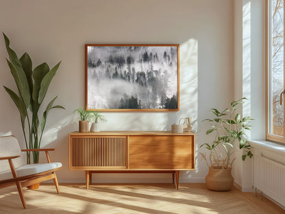 Fog Rolling Through Trees in Lamar Valley