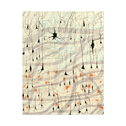 Neuron Drawing poster by Ramon Santiago y Cajal  - 11x14 inch print