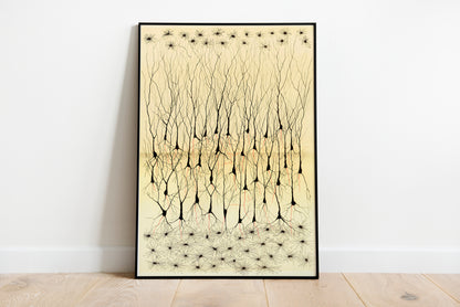 Neuron Drawing poster by Ramon Santiago y Cajal  - Black frame wall art